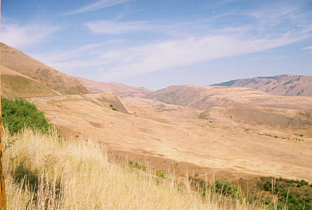 [The canyon seems to be a vast open area with hills and crevices and there's not much vegetation in the photo except right in the foreground. The roadway is barely visible since it is a distance away and blends in color-wise.]